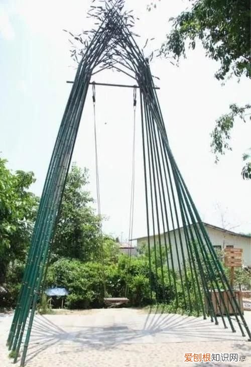 懂了什么是胞波情 胞波是什么意思