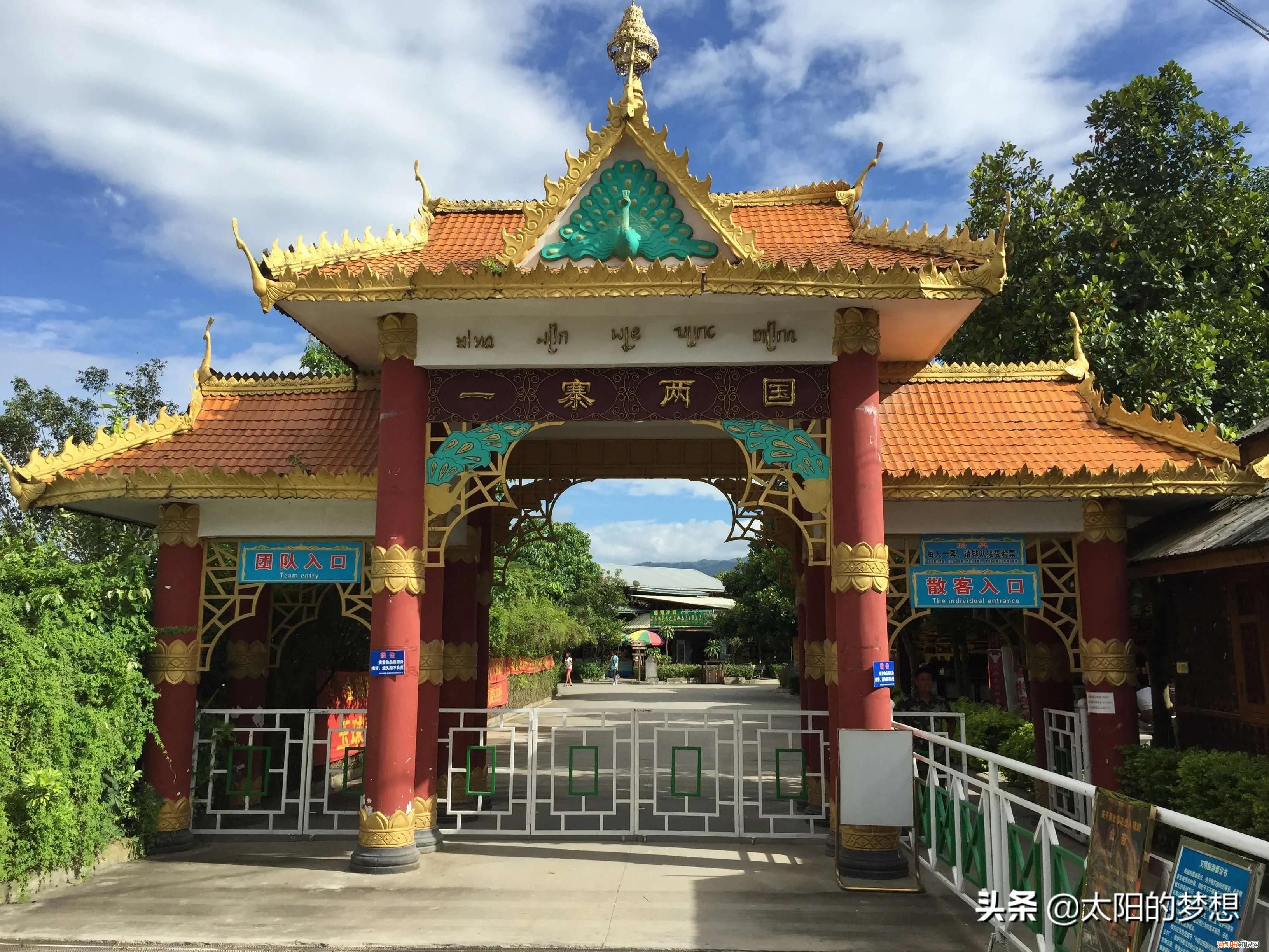 懂了什么是胞波情 胞波是什么意思