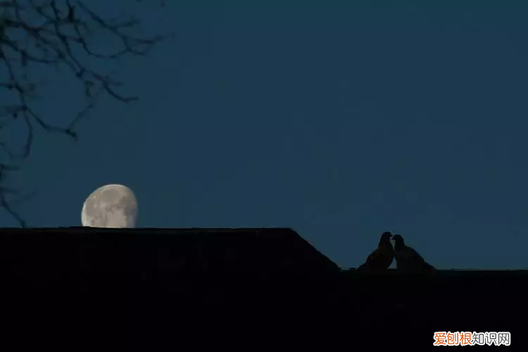 中国五大最美赏月诗词 赏月诗句