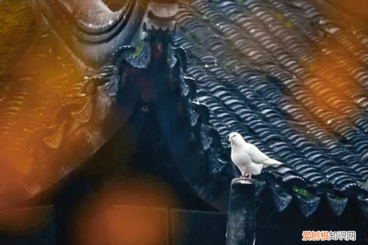 中国五大最美赏月诗词 赏月诗句