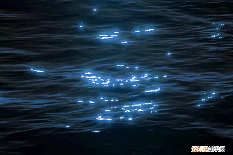 中国五大最美赏月诗词 赏月诗句