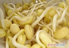 黄豆芽的营养价值及功效！ 黄豆芽的营养价值！