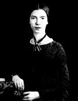 十首经典外国诗歌! 外国诗歌大全