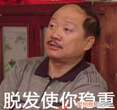 谢广坤和苏大强掉河里你救谁 谢广坤是什么梗