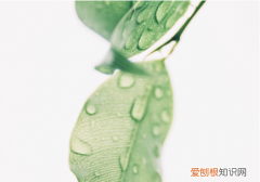 春分吃什么习俗 春分吃什么食物