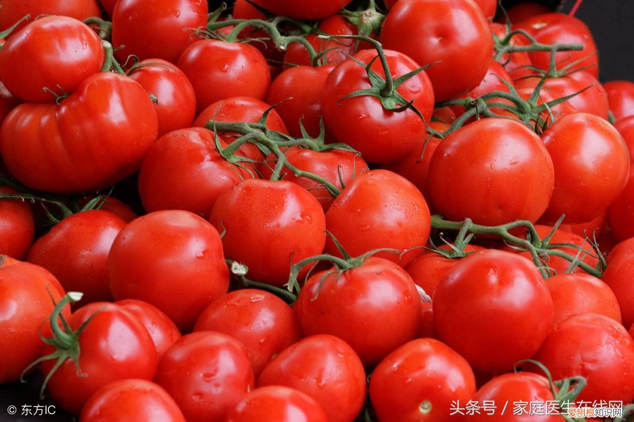 这5种食物,是“维生素C之王” 哪种食物维生素c含量最高