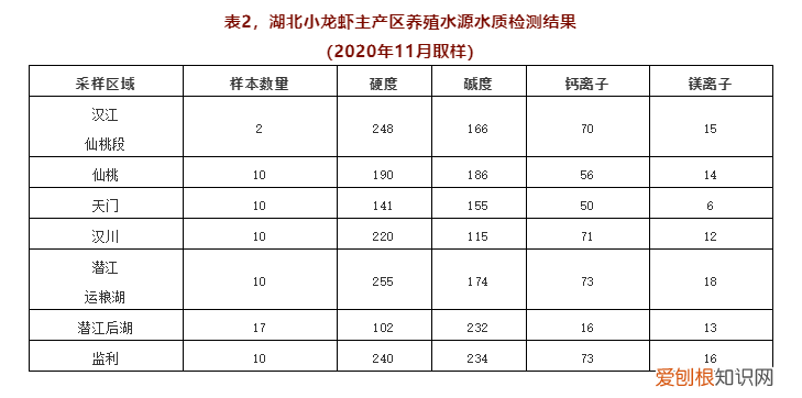 关于小龙虾养殖你应该知道的 龙虾养殖业