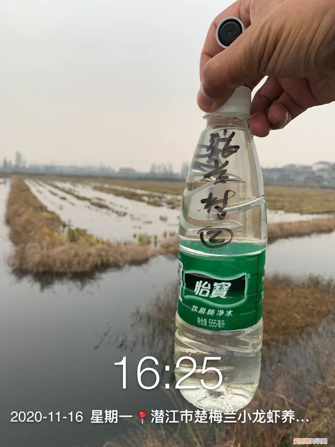 关于小龙虾养殖你应该知道的 龙虾养殖业