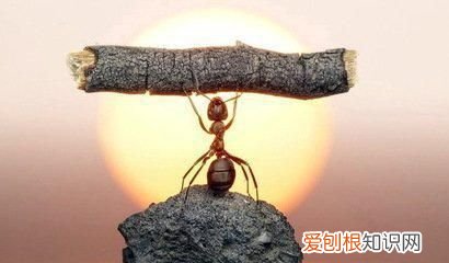 分享成功治疗鼻炎的偏方 治疗鼻炎小偏方