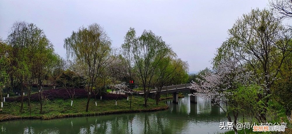 中国首个国家湿地公园，70%的水域面积 我国第一个国家湿地公园