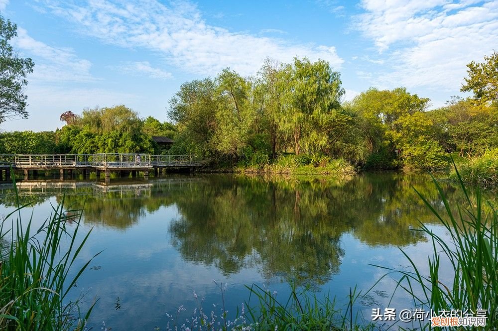 中国首个国家湿地公园，70%的水域面积 我国第一个国家湿地公园
