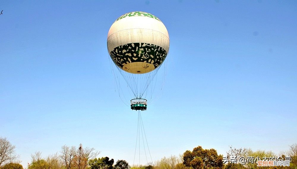 中国首个国家湿地公园，70%的水域面积 我国第一个国家湿地公园