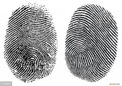 农村关于斗和簸箕的说法有道理吗？ 簸箕和斗