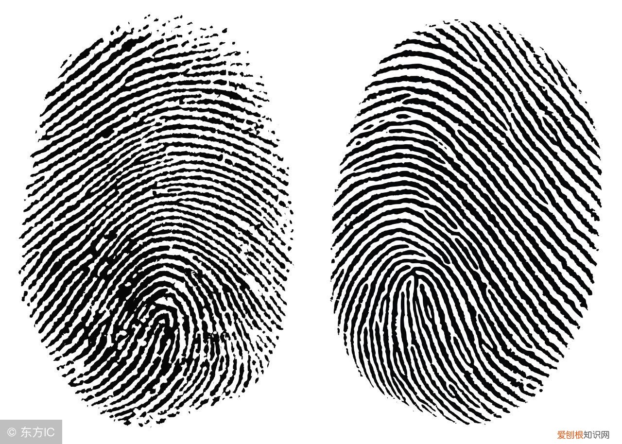 农村关于斗和簸箕的说法有道理吗? 簸箕和斗