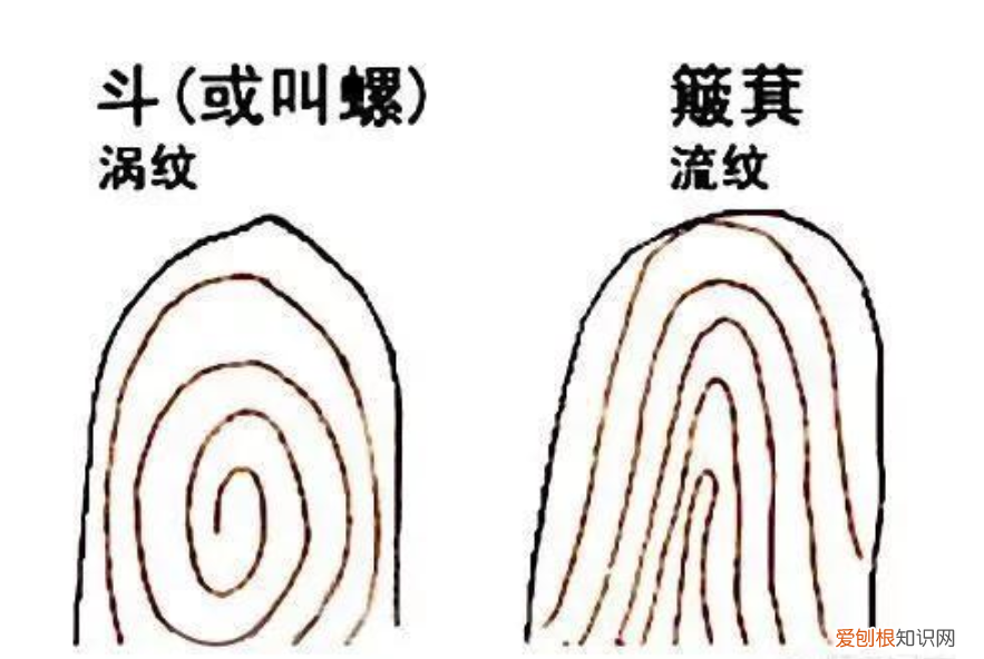 农村关于斗和簸箕的说法有道理吗? 簸箕和斗