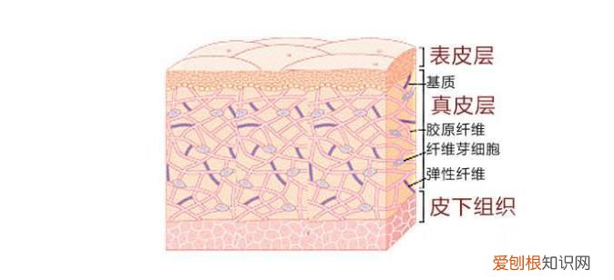 用好LED美容仪堪比10级美颜 光疗美容仪有效果吗