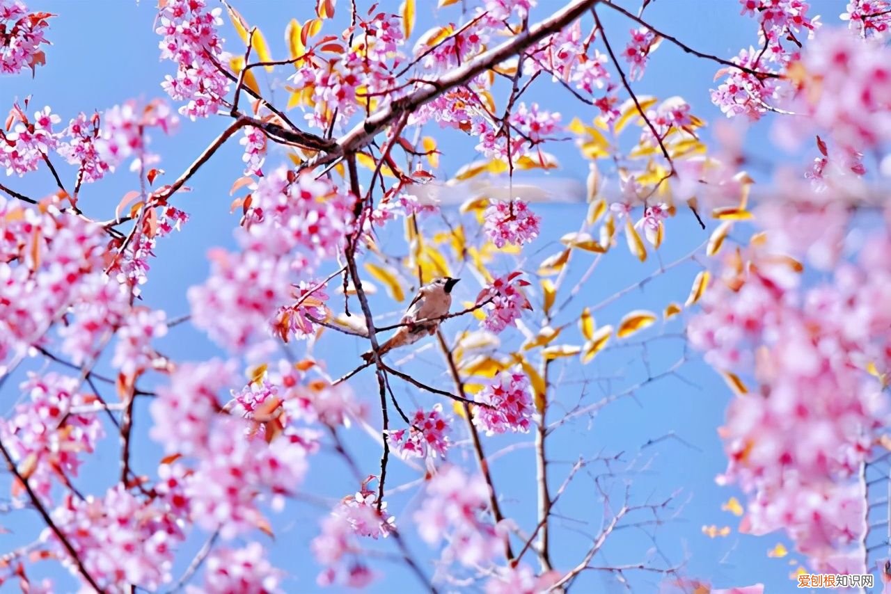 2021年最美立春祝福语 立春吉祥话