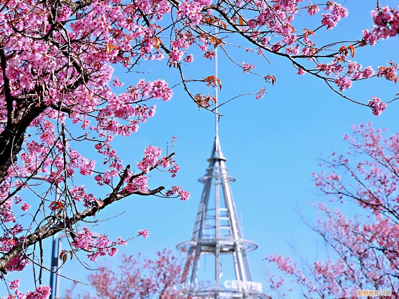 2021年最美立春祝福语 立春吉祥话