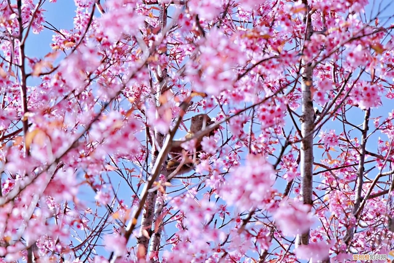 2021年最美立春祝福语 立春吉祥话