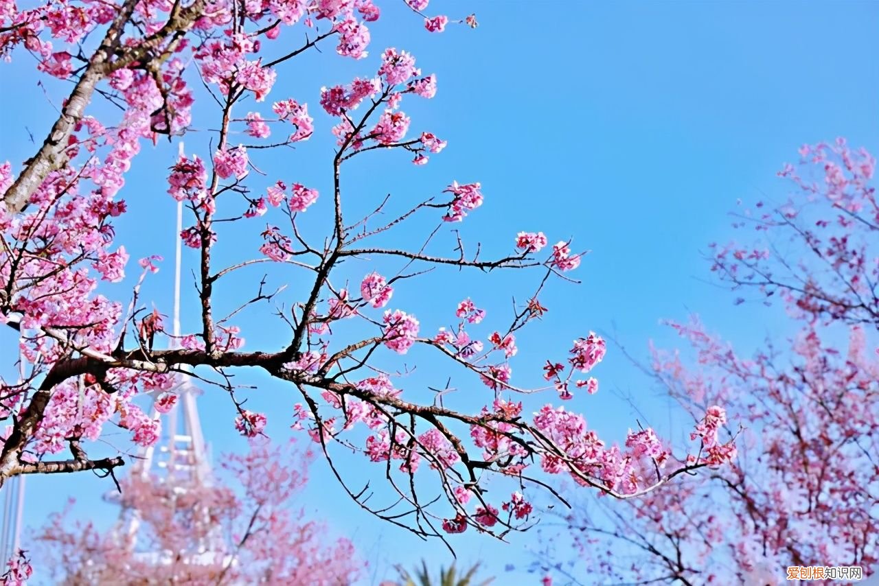 2021年最美立春祝福语 立春吉祥话