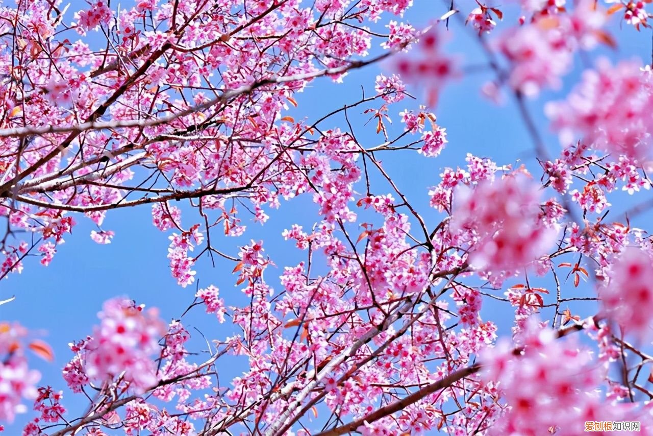 2021年最美立春祝福语 立春吉祥话