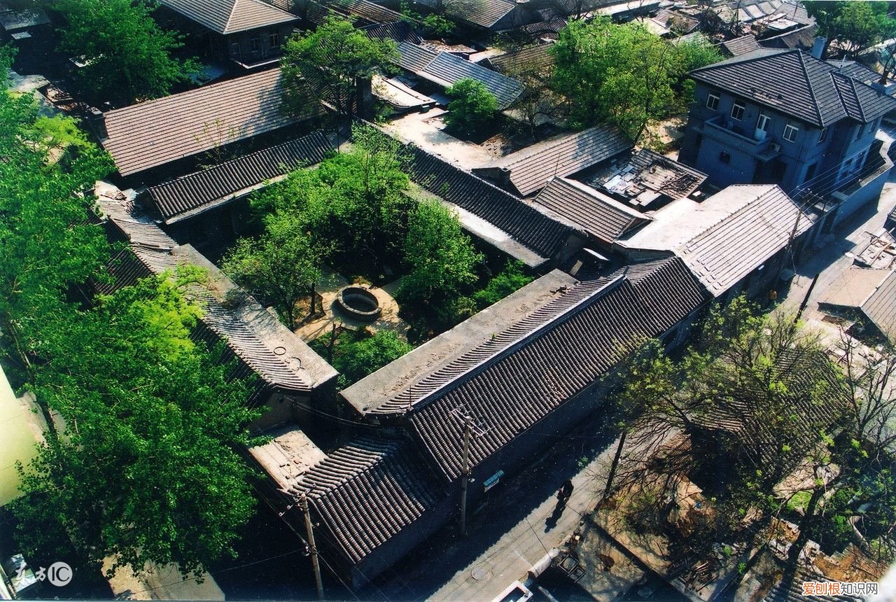 什么是东四命，西四命？ 东四命西四命