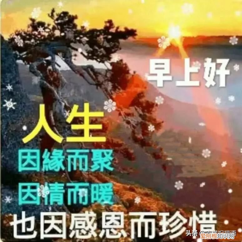 最新早上好问候祝福语短信 早上好问候语图片