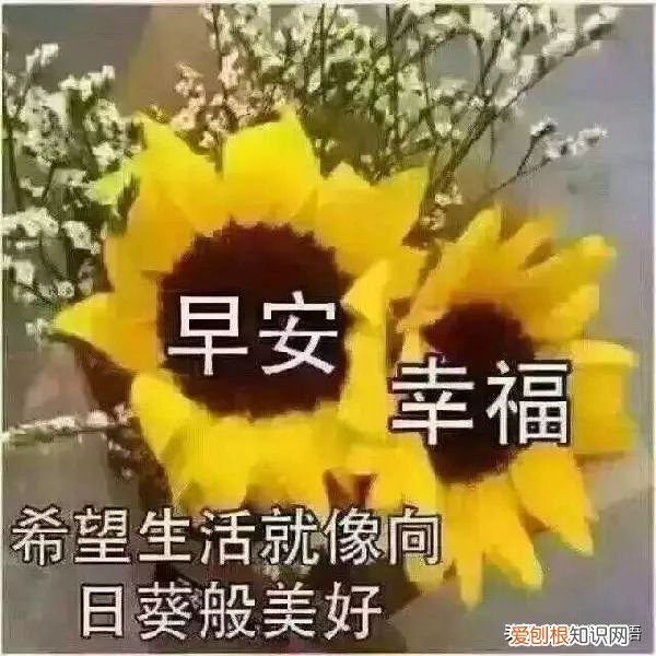 最新早上好问候祝福语短信 早上好问候语图片