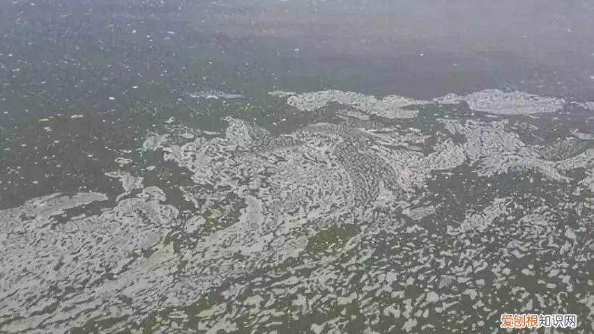 出现铁锈水不要怕 怎样消除鱼塘的铁锈水