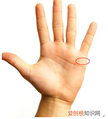 简单手面相一看就会 手掌相学