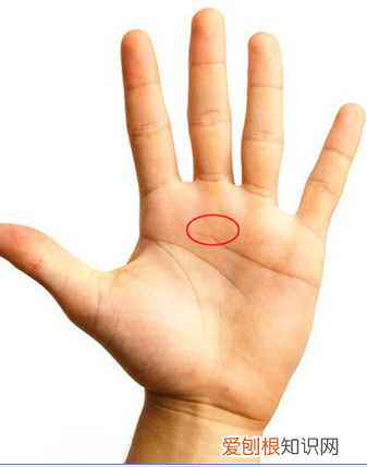 简单手面相一看就会 手掌相学