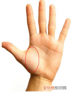 简单手面相一看就会 手掌相学