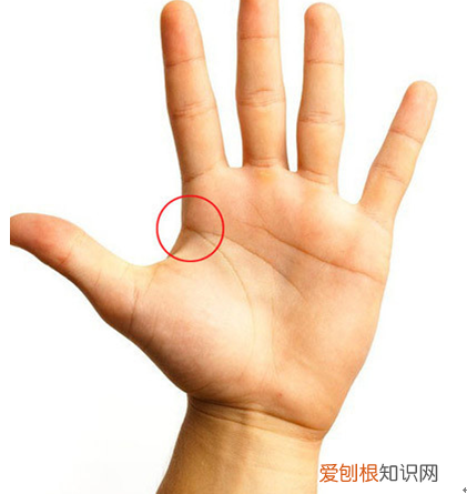 简单手面相一看就会 手掌相学