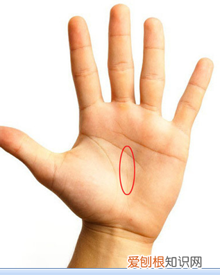 简单手面相一看就会 手掌相学