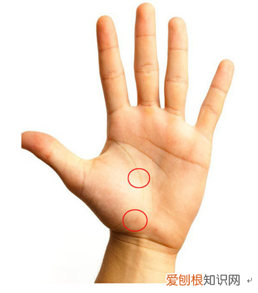 简单手面相一看就会 手掌相学