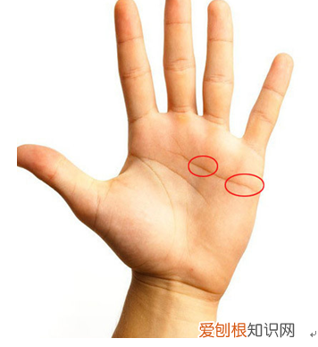 简单手面相一看就会 手掌相学