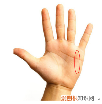 简单手面相一看就会 手掌相学