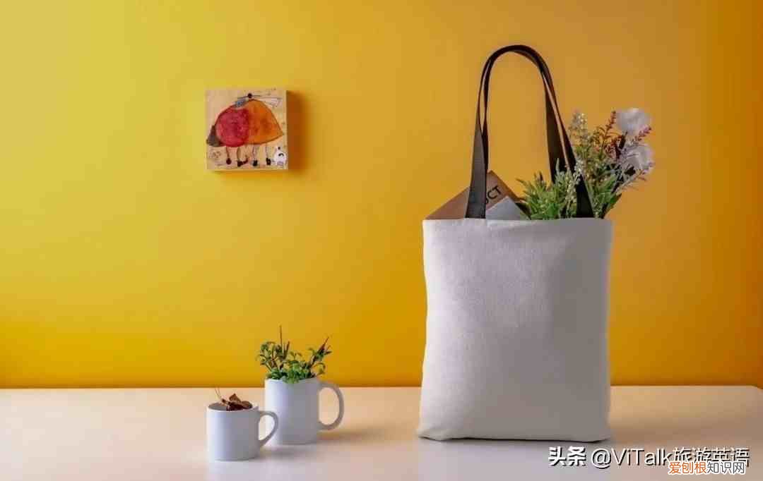 hold the bag是什么意思? bag是什么意思