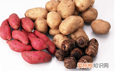 24种豆类杂粮大全 豆子的种类