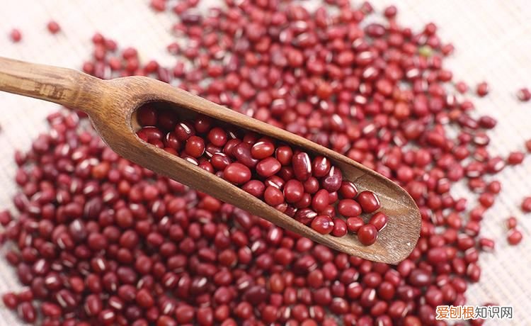 24种豆类杂粮大全 豆子的种类