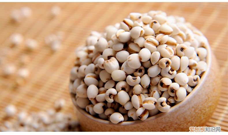 24种豆类杂粮大全 豆子的种类