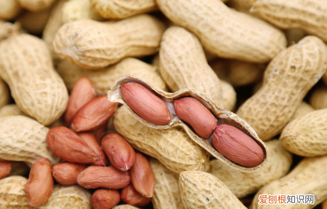 24种豆类杂粮大全 豆子的种类