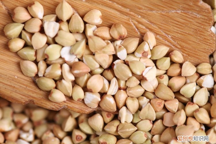 24种豆类杂粮大全 豆子的种类