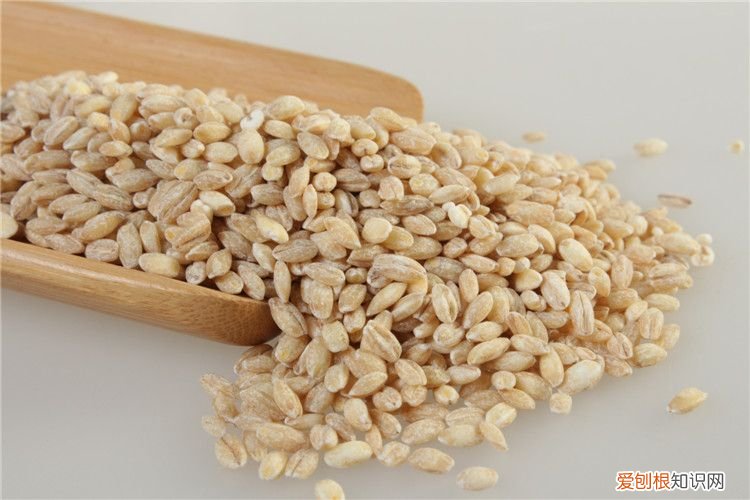 24种豆类杂粮大全 豆子的种类