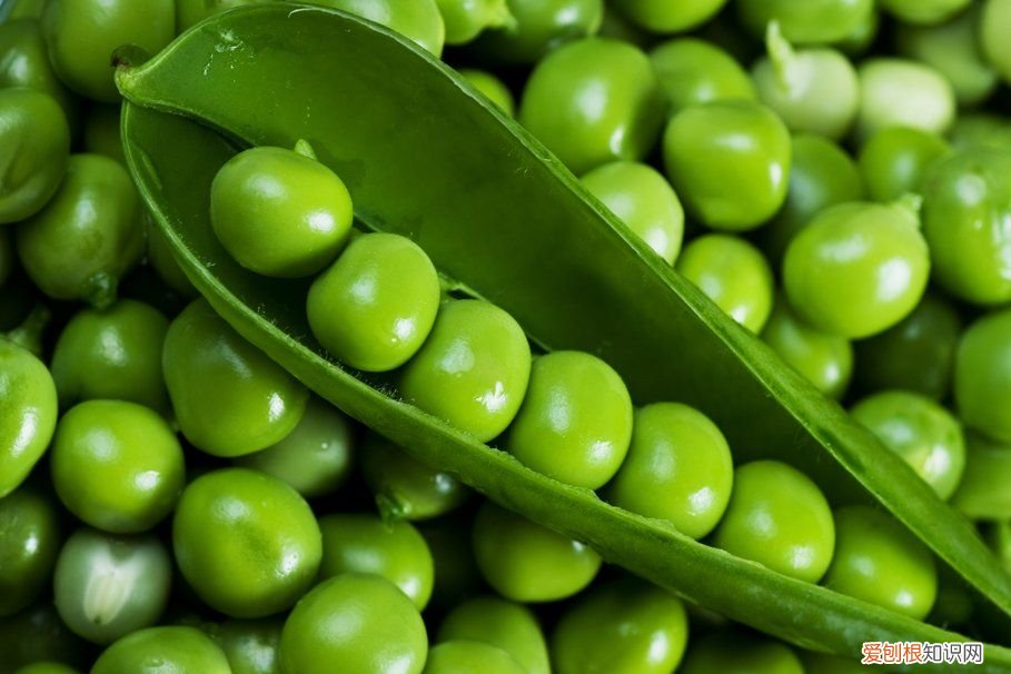 24种豆类杂粮大全 豆子的种类