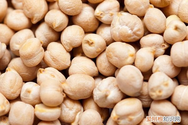 24种豆类杂粮大全 豆子的种类