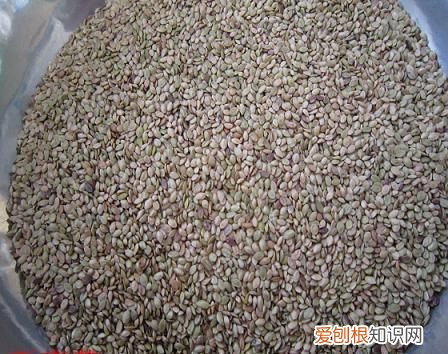 24种豆类杂粮大全 豆子的种类