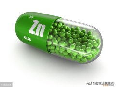 吃什么能补锌？ 补锌的食物