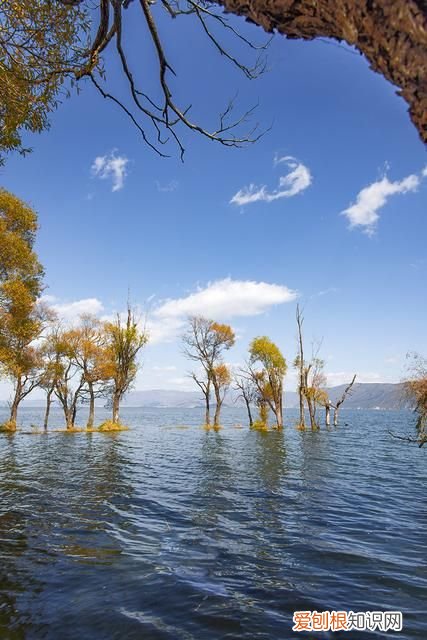 国内最短直飞航线之昆明至大理 昆明机场到大理