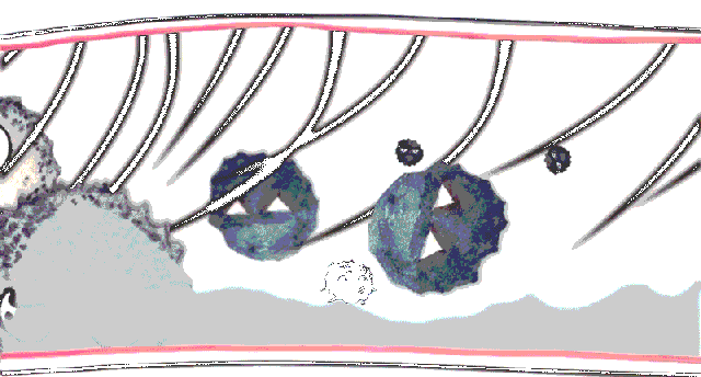 冬天这么干加湿器到底有用吗？ 加湿器有用吗